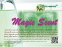 Magic-Scent_label-1